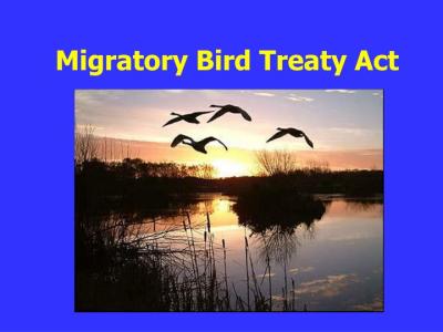 migratorybirdtreaty-pptslide-publicdomain