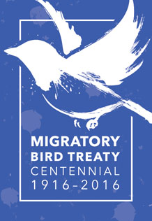 Centennial logo