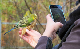 Fly Away: Tips on Getting Started with Bird&nbsp;Photography
