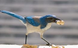 Lee’s Six Word Saturday –&nbsp;10/1/16