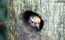 Lee’s Six Word Saturday –&nbsp;10/29/16