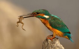 Lee’s Six Word Saturday –&nbsp;11/5/16