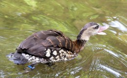 Lee’s One Word Monday –&nbsp;10/31/16