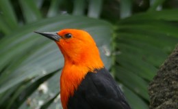 Lee’s Three Word Wednesday –&nbsp;11/2/16