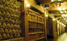 Birdwatching On Board The Ark Encounter – The Provisions&nbsp;I
