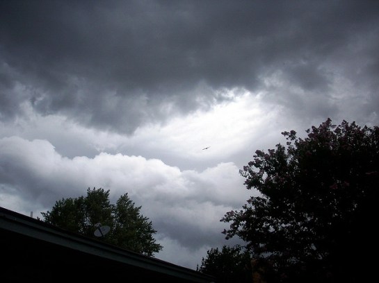 A Bird in the Storm ©Flickr Sam