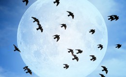 Lee’s Three Word Wednesday –&nbsp;10/12/16