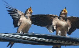 Lee’s Seven Word Sunday –&nbsp;10/9/16