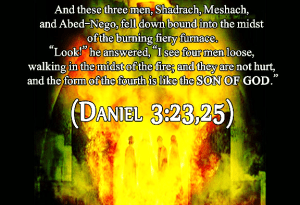 daniel-5-verses