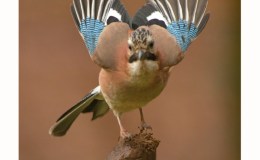 Lee’s Five Word Friday –&nbsp;10/21/16