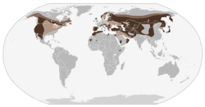 goldeneagle-rangemap-wikipedia