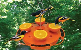 Lee’s Seven Word Sunday –&nbsp;10/2/16