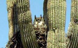 Lee’s Three Word Wednesday –&nbsp;10/19/16