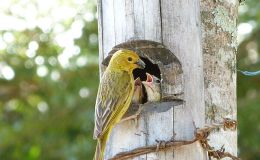 Lee’s Five Word Friday –&nbsp;3/17/17