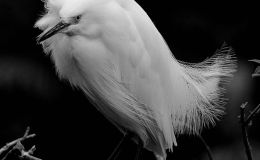 Lee’s Five Word Friday –&nbsp;10/7/16