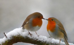 Lee’s Seven Word Sunday –&nbsp;11/6/16