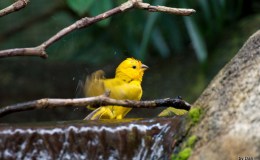 Lee’s Two Word Tuesday –&nbsp;11/1/16