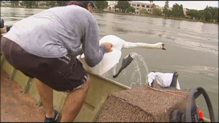 still1018_00004_1476794307496_2178129_ver1-0_640_360