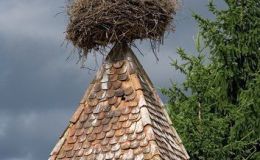 Lee’s Two Word Tuesday –&nbsp;10/11/16