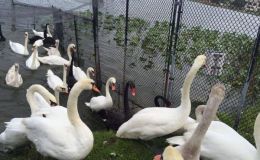 Lee’s Four Word Thursday –&nbsp;10/20/16