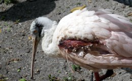 Lee’s Seven Word Sunday –&nbsp;11/20/16