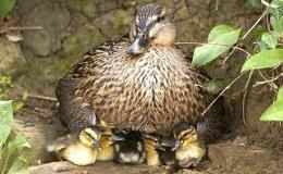 Lee’s Three Word Wednesday –&nbsp;1/4/17