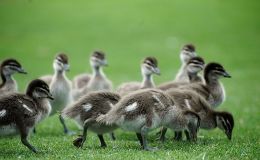 Lee’s One Word Monday –&nbsp;11/14/16