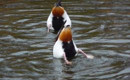 Lee’s Seven Word Sunday –&nbsp;11/13/16