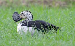 Lee’s Three Word Wednesday –&nbsp;12/7/16