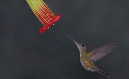 Lee’s Two Word Tuesday –&nbsp;11/29/16