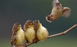 Lee’s Six Word Saturday –&nbsp;11/12/16