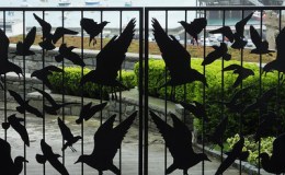 Lee’s One Word Monday –&nbsp;11/7/16