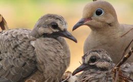 Lee’s Four Word Thurday –&nbsp;11/10/16