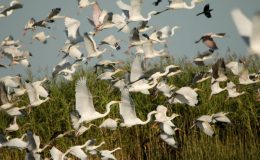 Lee’s Two Word Tuesday –&nbsp;1/24/17