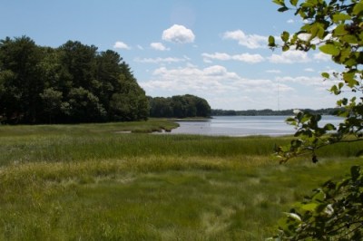 gilslandfarmsanctuary-maine-wetland