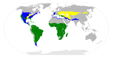 greatwhiteegret-range-map-wikipedia