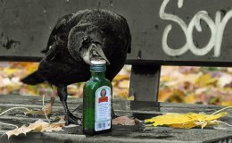 Lee’s Two Word Tuesday –&nbsp;11/8/16