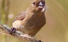 Lee’s Eight Word Sunday –&nbsp;11/20/16