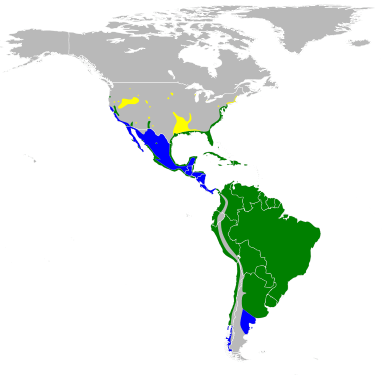 snowyegret-range-map-wikipedia