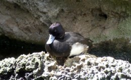 Lee’s Seven Word Sunday –&nbsp;5/21/17