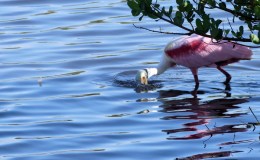 Lee’s Five Word Friday –&nbsp;2/24/17