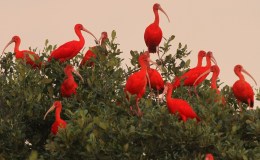 Lee’s Six Word Saturday –&nbsp;6/24/17