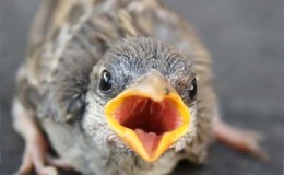 Lee’s Five Word Friday –&nbsp;1/27/17