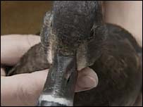 BREATHE SLOWLY,  AND  WAIT  FOR  AN  OPEN  DOOR –&nbsp;Repost