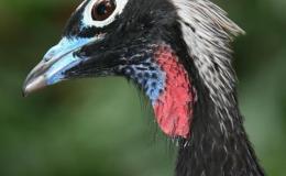 Lee’s Four Word Thursday –&nbsp;4/13/17