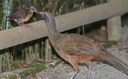 Lee’s One Word Monday –&nbsp;1/23/17