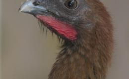 Lee’s One Word Monday –&nbsp;1/16/17