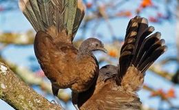 Lee’s Two Word Tuesday –&nbsp;1/17/17