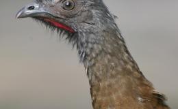 Lee’s Seven Word Sunday –&nbsp;1/15/17