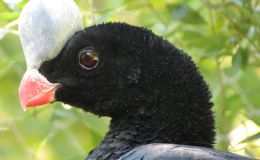 Lee’s Four Word Thursday –&nbsp;2/2/17